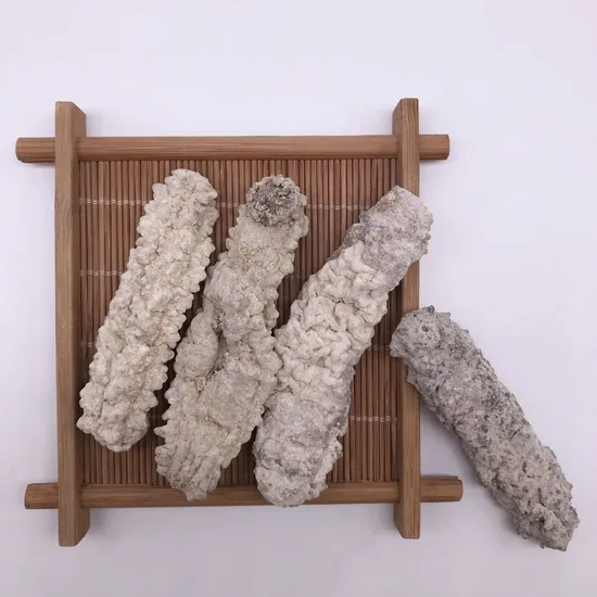 Dried sea cucumbers — product shot